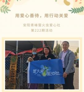 用愛心善待，用行動(dòng)關(guān)愛--青峰創(chuàng)元集團(tuán)螢火蟲愛心活動(dòng)第222期報(bào)道
